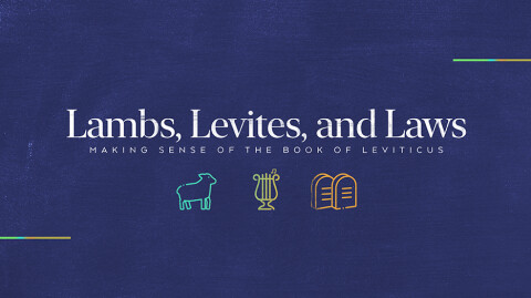 More Offerings and Sacrifices - Leviticus Bible Class Part 2